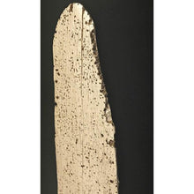 Load image into Gallery viewer, Paddle Dimensional Wall Art - Ast 2