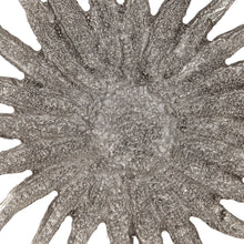 Load image into Gallery viewer, SUNFLOWER STARFISH, S/3
