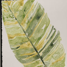 Load image into Gallery viewer, Verdant Impressions Framed Prints, S/9
