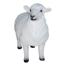 Load image into Gallery viewer, Dolly Sheep Statue White
