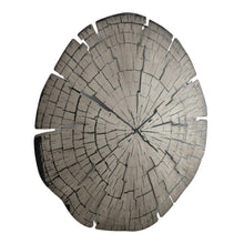 Load image into Gallery viewer, Rings Wall Decor
