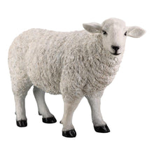 Load image into Gallery viewer, Baa Baa White Sheep Statue

